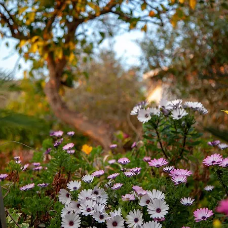 Panoramic View * 泰拉奇纳