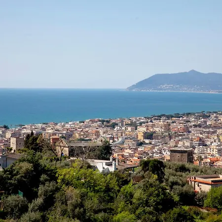 Panoramic View
