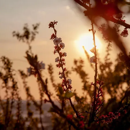 Panoramic View 公寓