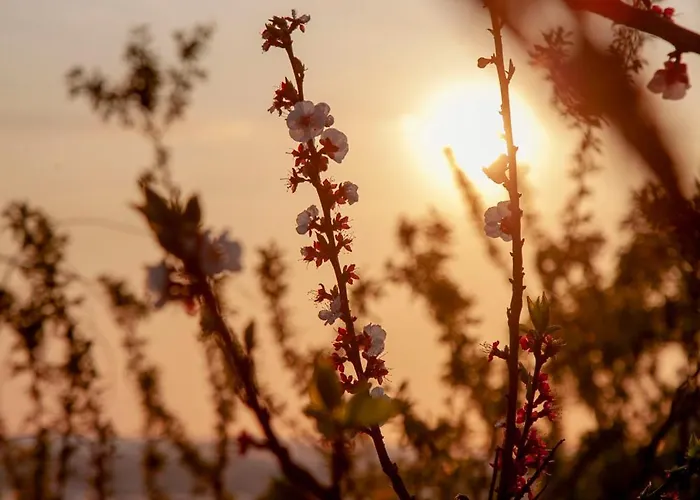 Panoramic View 아파트