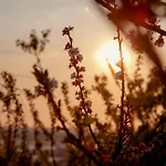 Panoramic View شقة