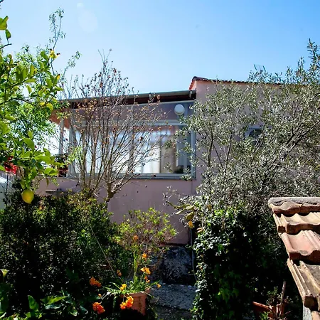 Panoramic View Appartement