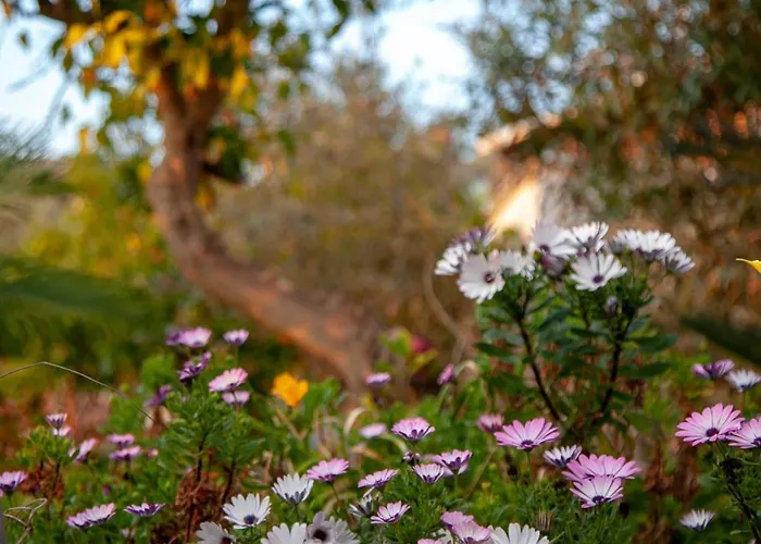 Panoramic View * Terracina
