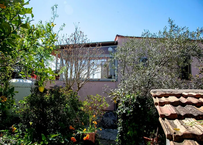 Panoramic View Lejlighed